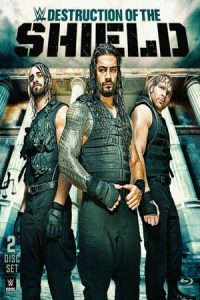 Journey to SummerSlam: The Destruction of the Shield (2014)