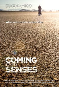 Coming to My Senses (2017)