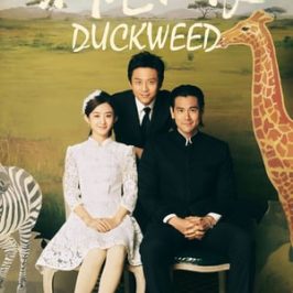Duckweed (2017)
