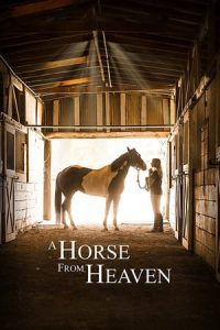 A Horse from Heaven (2019)