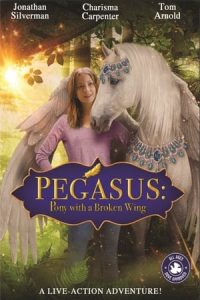 Pegasus: Pony With a Broken Wing (2019)