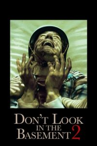 Don’t Look in the Basement 2 (2015)